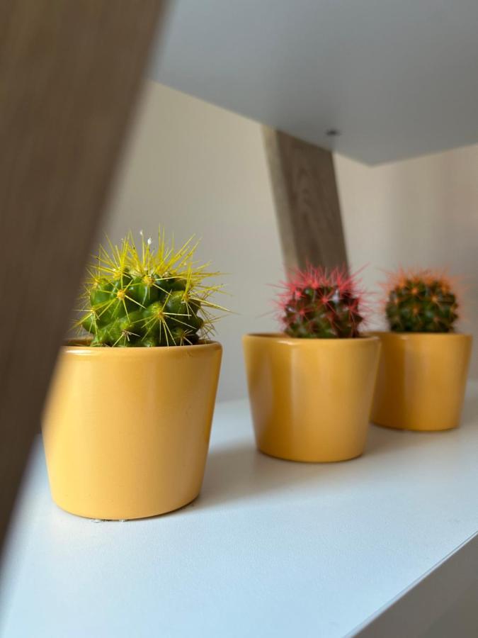 סובוטיקה Apartman Teodora מראה חיצוני תמונה